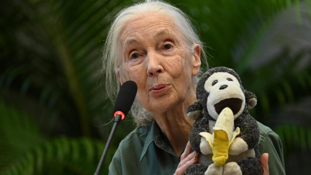 jane goodall todesursache